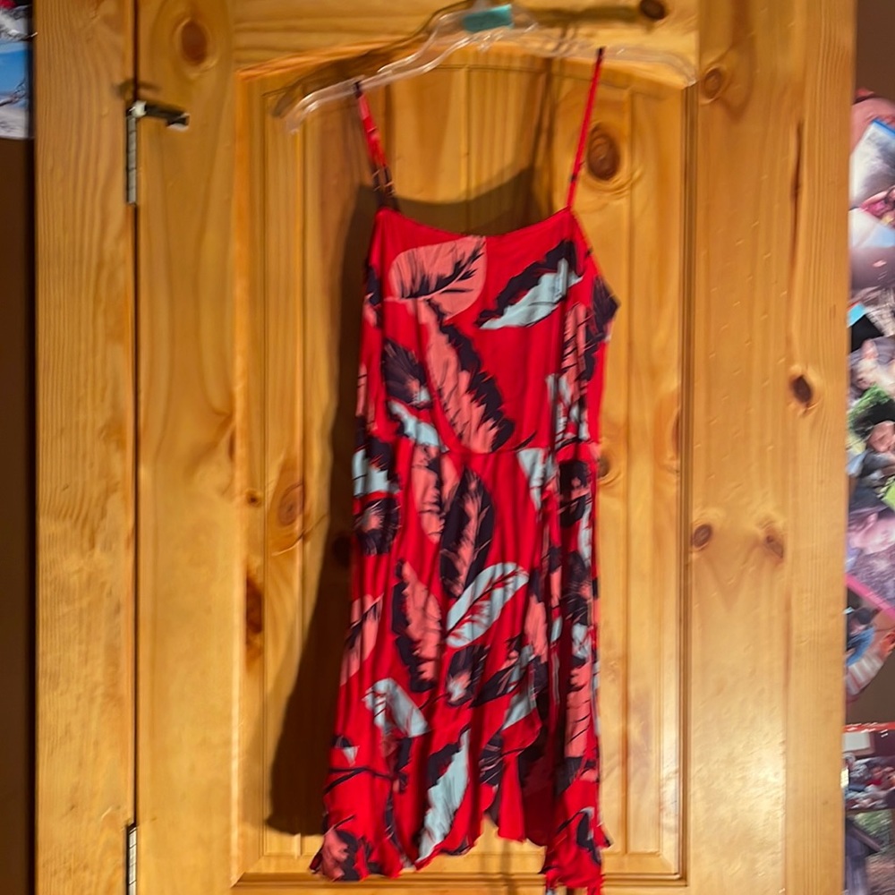 Express    SP    Dress Mini     $26